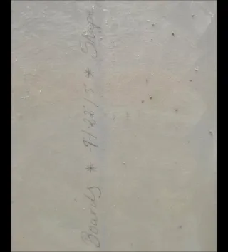 Longboard surf single 9'0