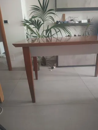 Tavolo allungabile in legno marrone