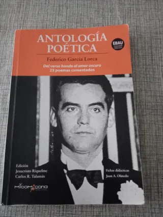 Antologia poetica - Federico Garcia Lorca (ebau...