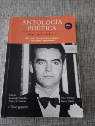 Antologia poetica - Federico Garcia Lorca (ebau...