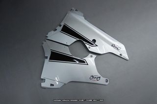 Carenado para KAWASAKI ZX10R / ZX10RR 2021 - 2025