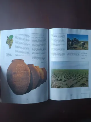 Manual de los vinos de España