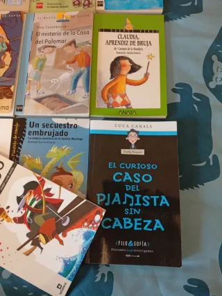 Lote libros El barco de vapor