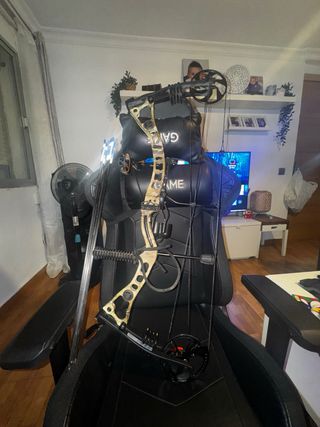 Arco de poleas con flechas y protector