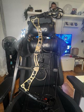 Arco de poleas con flechas y protector