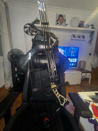 Arco de poleas con flechas y protector