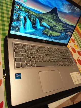 Portátil Asus Plata y Negro