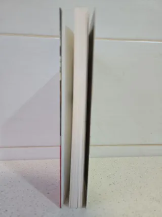 HEGOALDERANTZ IHESI (PREMIO EDEBÉ)