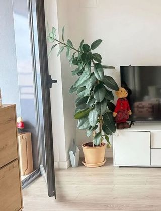 Piso en venta en Ciutat de les Arts i les Ciències en Valencia