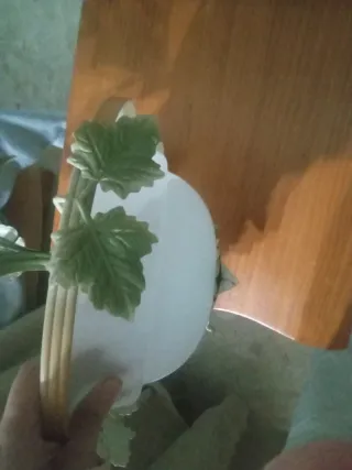 Lámpara colgante decorativa