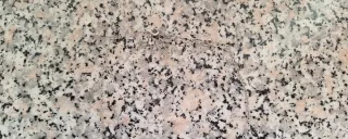 Collana conchiglie e perle