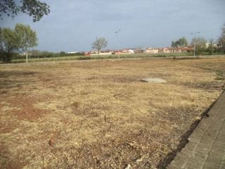 Terreno en venta en Argamasilla de Calatrava