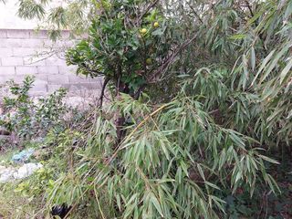 Casa adosada en venta en Muro