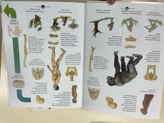 la evolución del ser humano, secretos de la vida