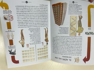 la evolución del ser humano, secretos de la vida