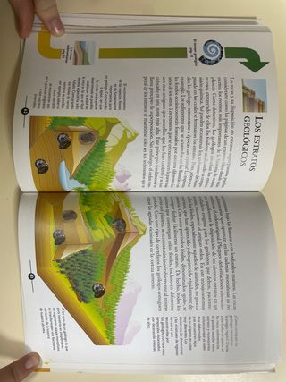 La vida en la Tierra y Dentro de la Tierra