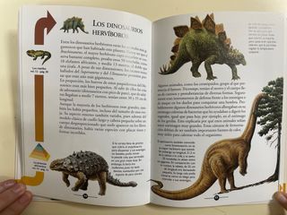 La vida en la Tierra y Dentro de la Tierra