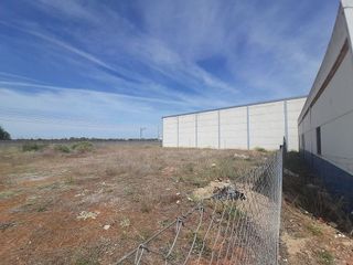 Nave industrial en venta en Argamasilla de Calatrava
