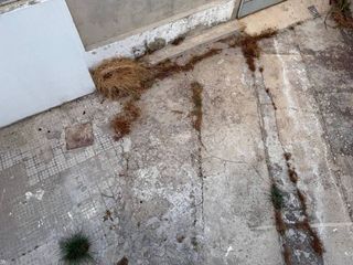 Local comercial en alquiler en Norte en Jerez de la Frontera