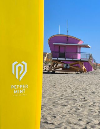 Tabla Surf Peppermint Performer 9'1 Pineapple