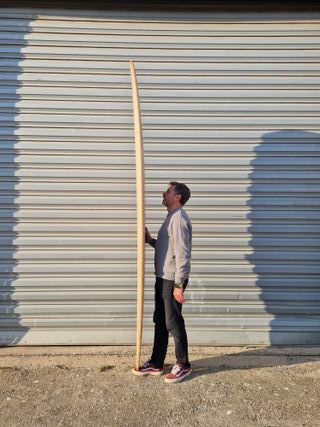 Tabla surf Peppermint 9'1 Performer Timber