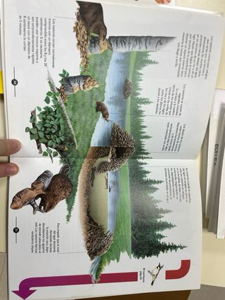 el comportamiento animal y la ecología