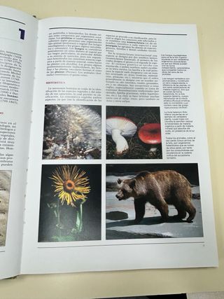 Atlas de Botánica. El mundo de las plantas