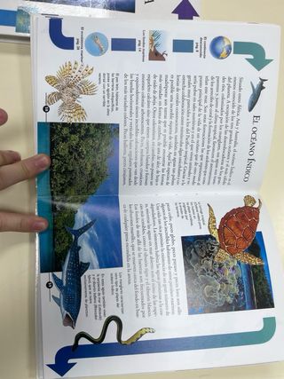 el clima y los océanos