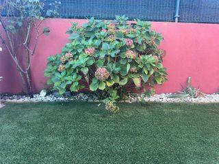 Chalet en venta en Masquefa