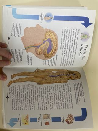 El cuerpo humano y Los secretos de la vida