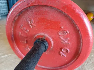 Set de pesas y barra para gimnasio