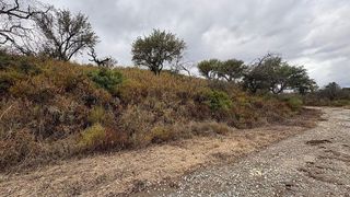 Terreno en venta en Guillena
