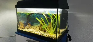 Acuario completo con accesorios 45l