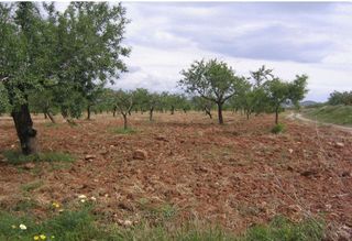Terreno en venta en Blanca