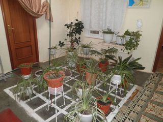 Casa pareada en venta en Tomelloso