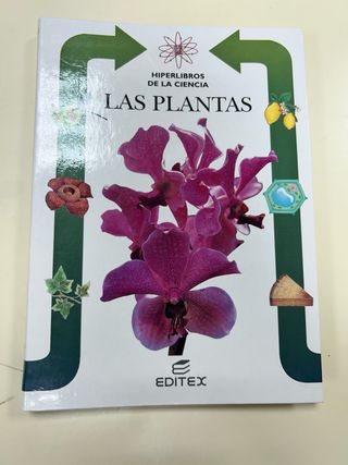 Las plantas