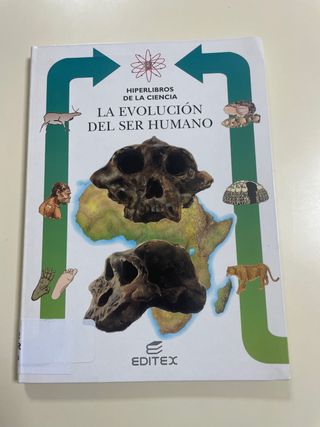 la evolucion del ser humano