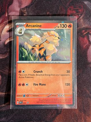 Arcanine SVP 011 Carta Pokémon