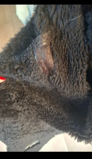 Abrigo Chaqueta Piel y Ante Grabado Vintage Negra