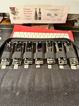 Colección de 14 Armonicas de Blues