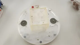 Kit Hormiguero con semillas y accesorios