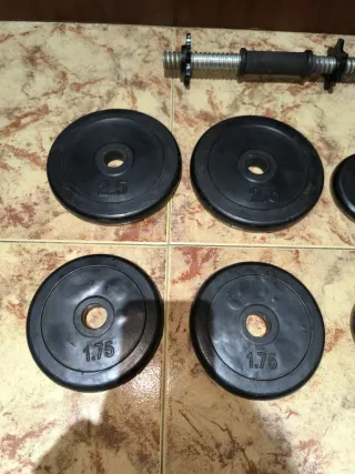 Mancuerna y discos de pesas