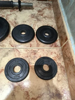Mancuerna y discos de pesas