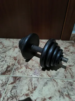 Mancuerna y discos de pesas