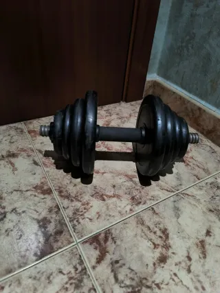 Mancuerna y discos de pesas