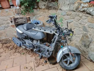 Despiece Suzuki burman