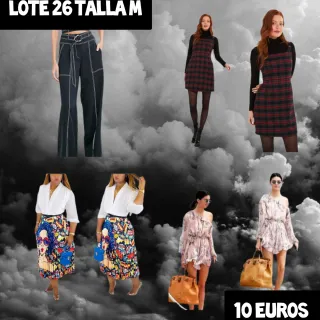 Lote N°26 Ropa Talla M