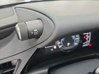 Lexus ES 2.5 300h Luxury