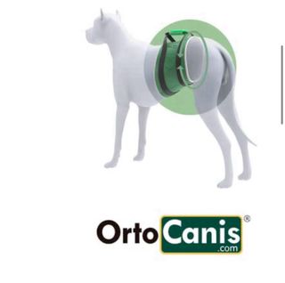 Banda Soporte Ortocanis Negra