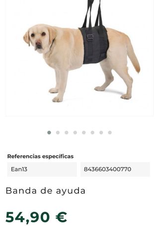 Banda Soporte Ortocanis Negra